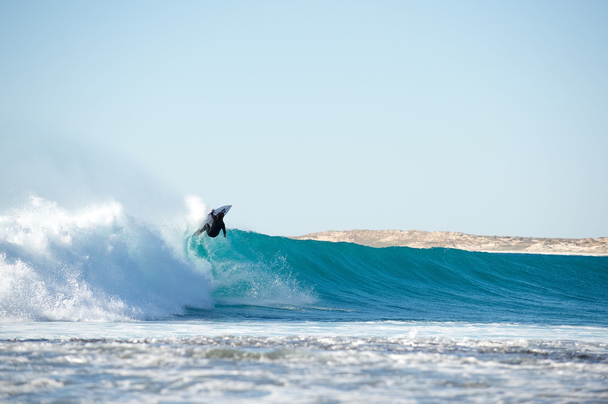 JS-ライジングブル イージー・ライダー – JS Industries Japan