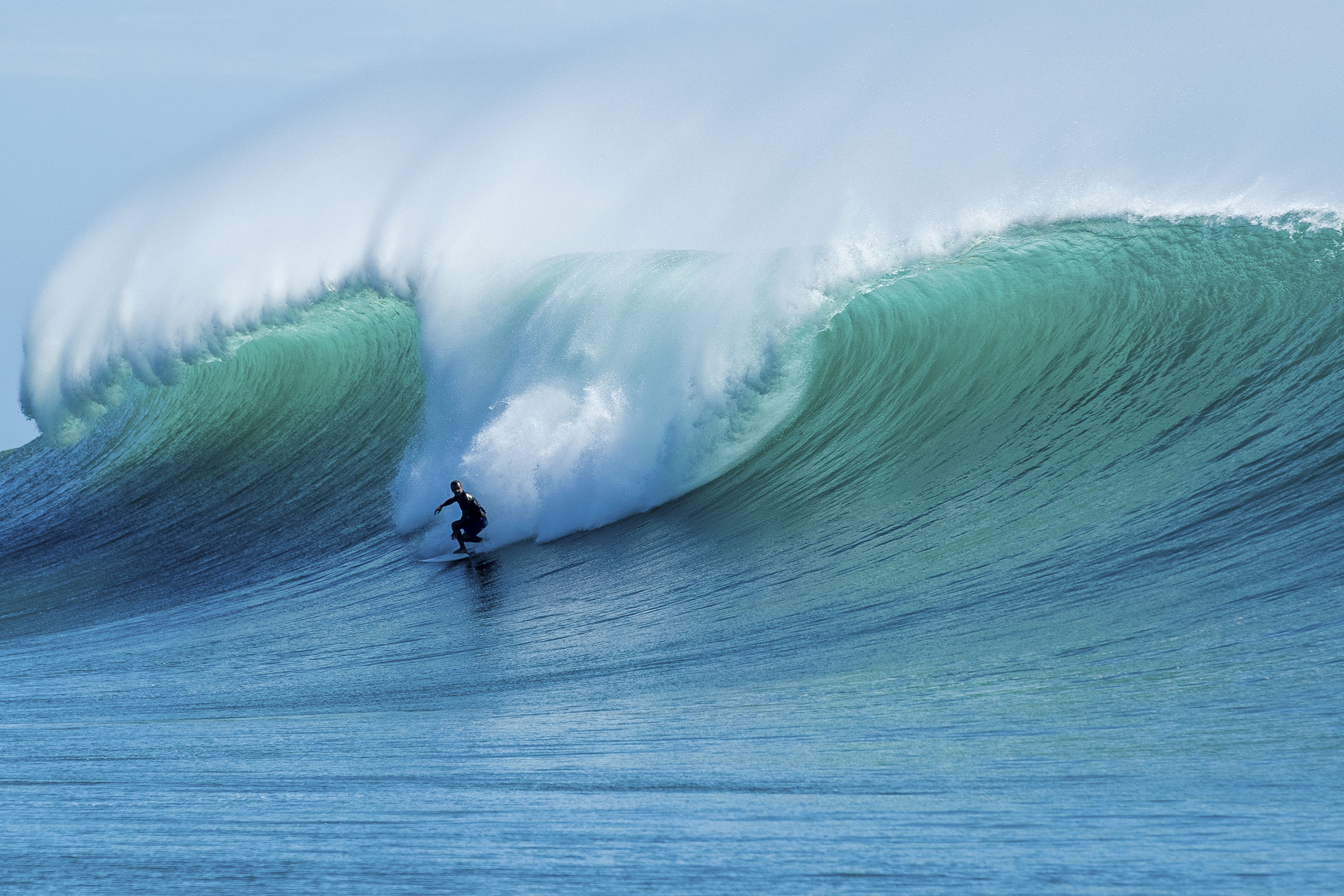 JS-フォーゲットミーノット3 ステップアップ – JS Industries Japan